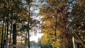 A pathway leading through a wooded area with a white gate and a house in the distance.