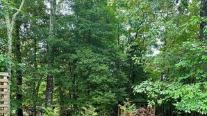 An outdoor seating area with Adirondack chairs and a stone fire pit surrounded by a forested area.