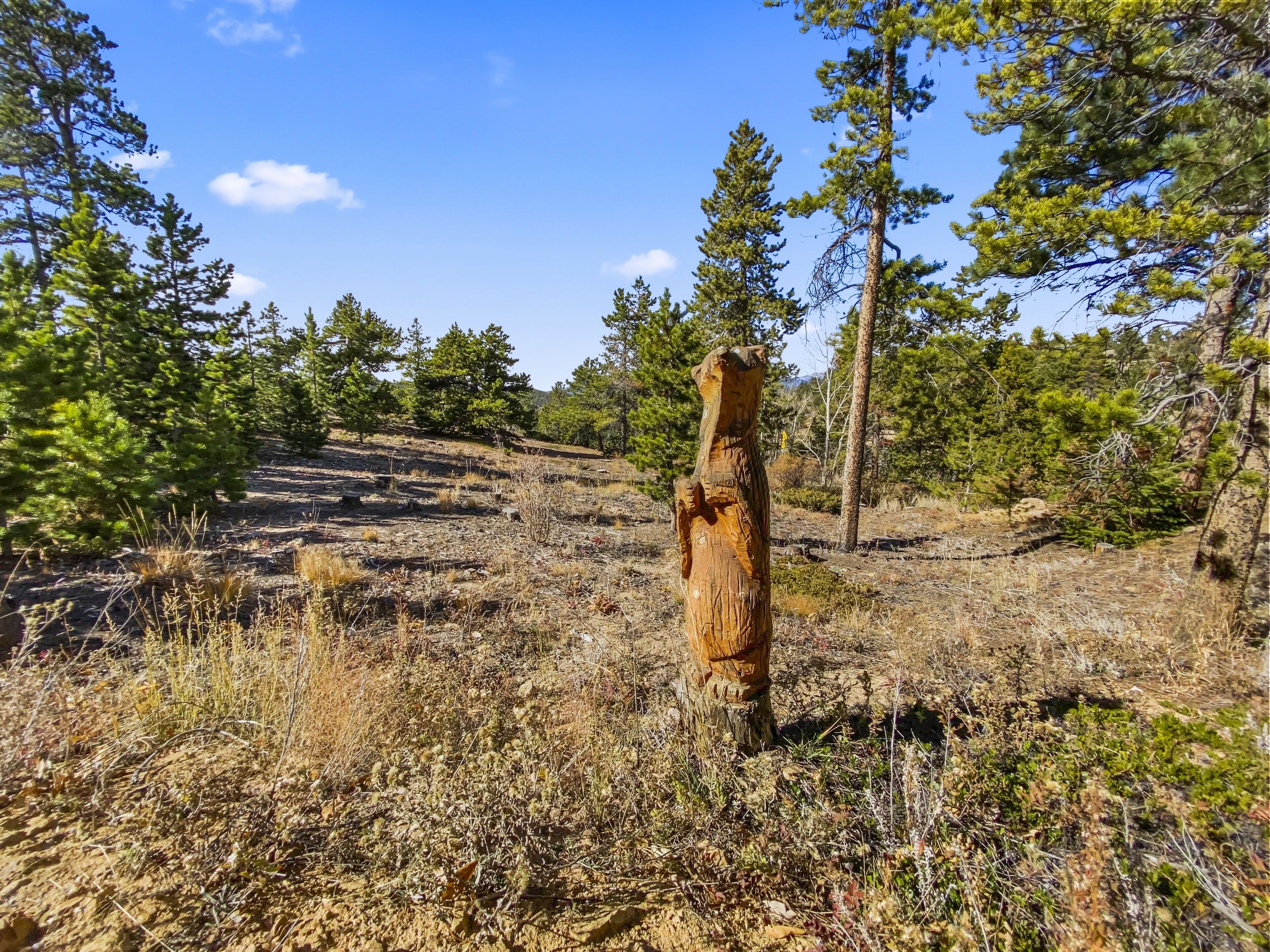 A natural landscape with a prominent tree stump in the foreground, surrounded by dry grass and scattered trees.