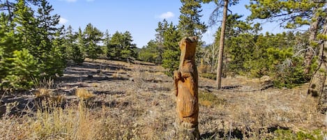 A natural landscape with a prominent tree stump in the foreground, surrounded by dry grass and scattered trees.