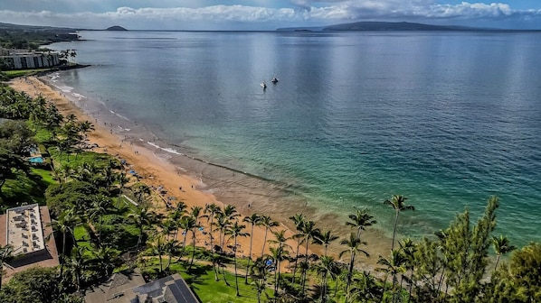 Condo, 1 Bedroom | Beach