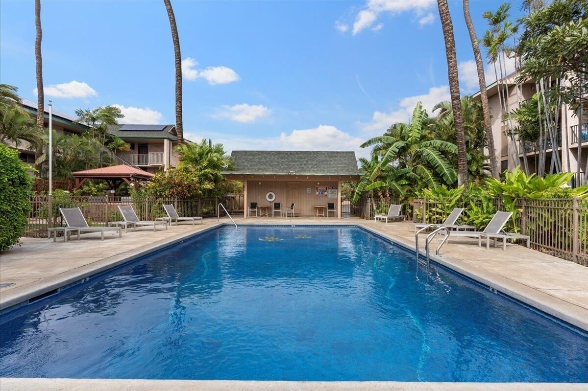 A rectangular swimming pool with a clear blue water surface, surrounded by lounge chairs and palm trees.