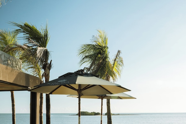 Outdoor pool, open 8:00 AM to 10:00 PM, sun loungers