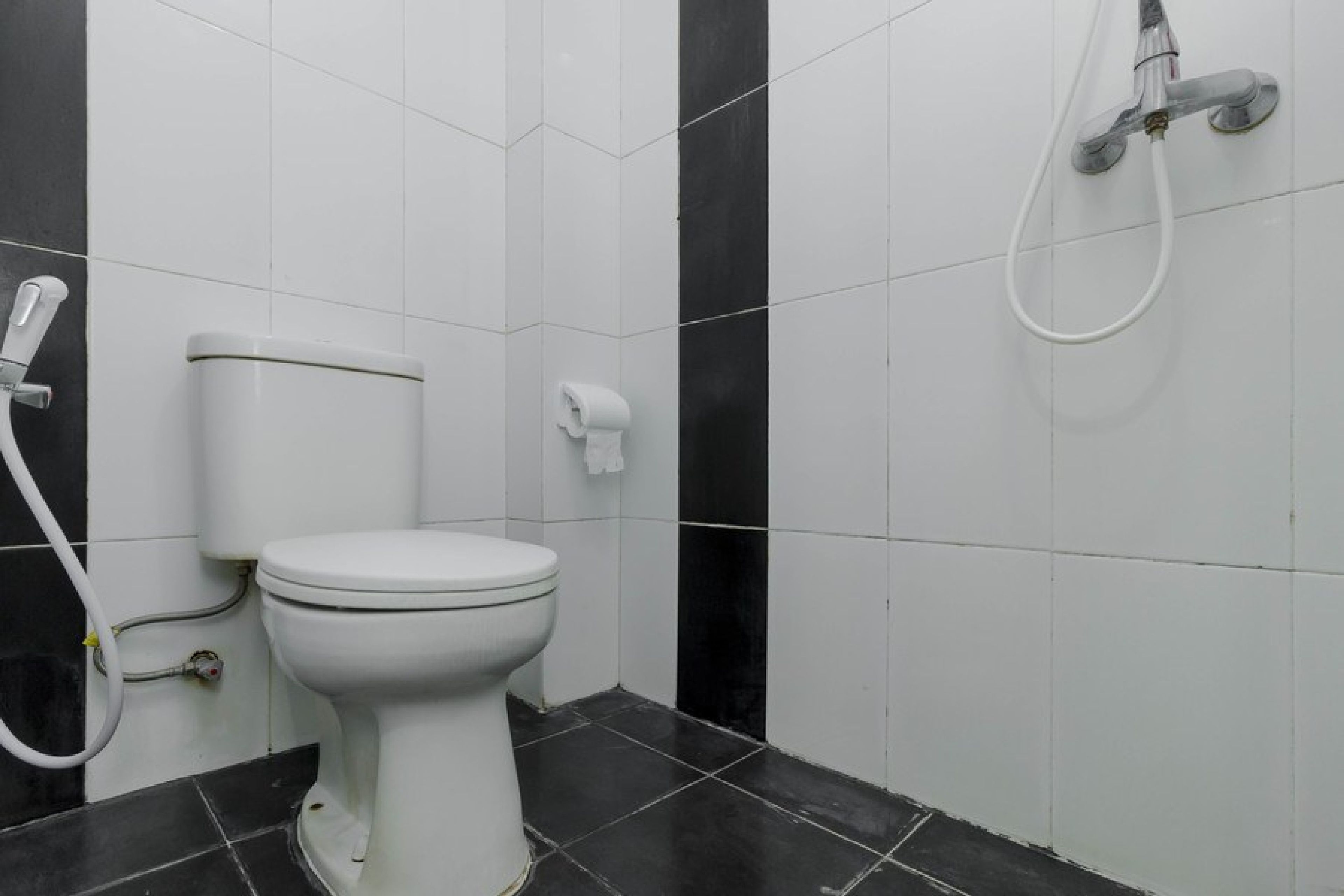A bathroom with a toilet, a hand shower, and a toilet paper holder.