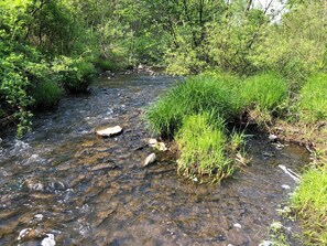 Un arroyo cristalino con rocas y vegetación verde.
