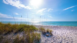 Beach - Harbour Oaks 2121 by FVC (Longboat Key)