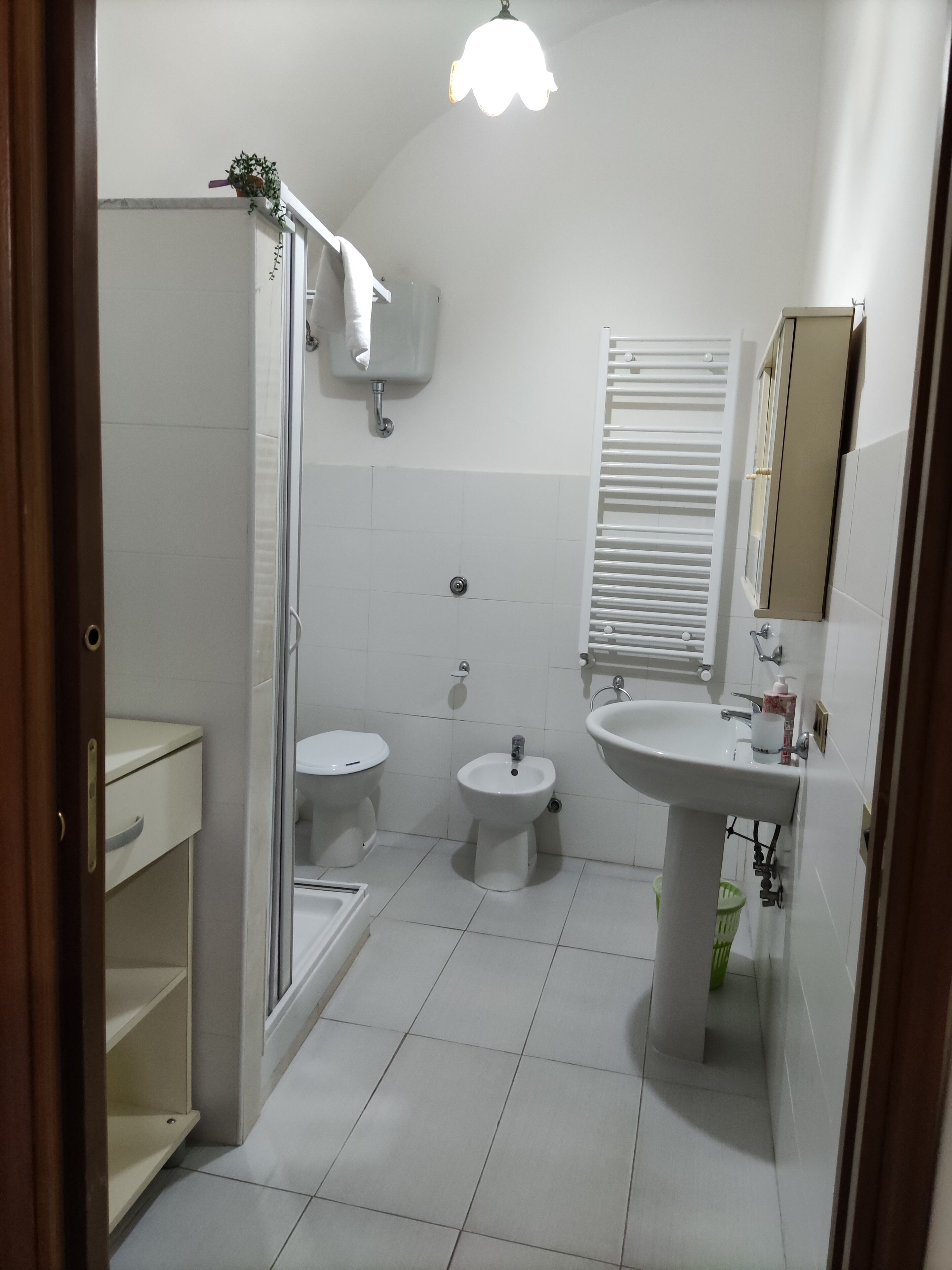 Asciugacapelli, asciugamani, sapone, carta igienica