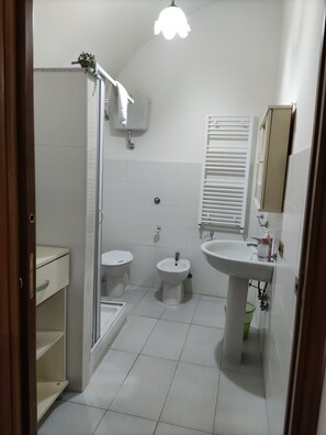 Sèche-cheveux, serviettes fournies, savon, papier toilette