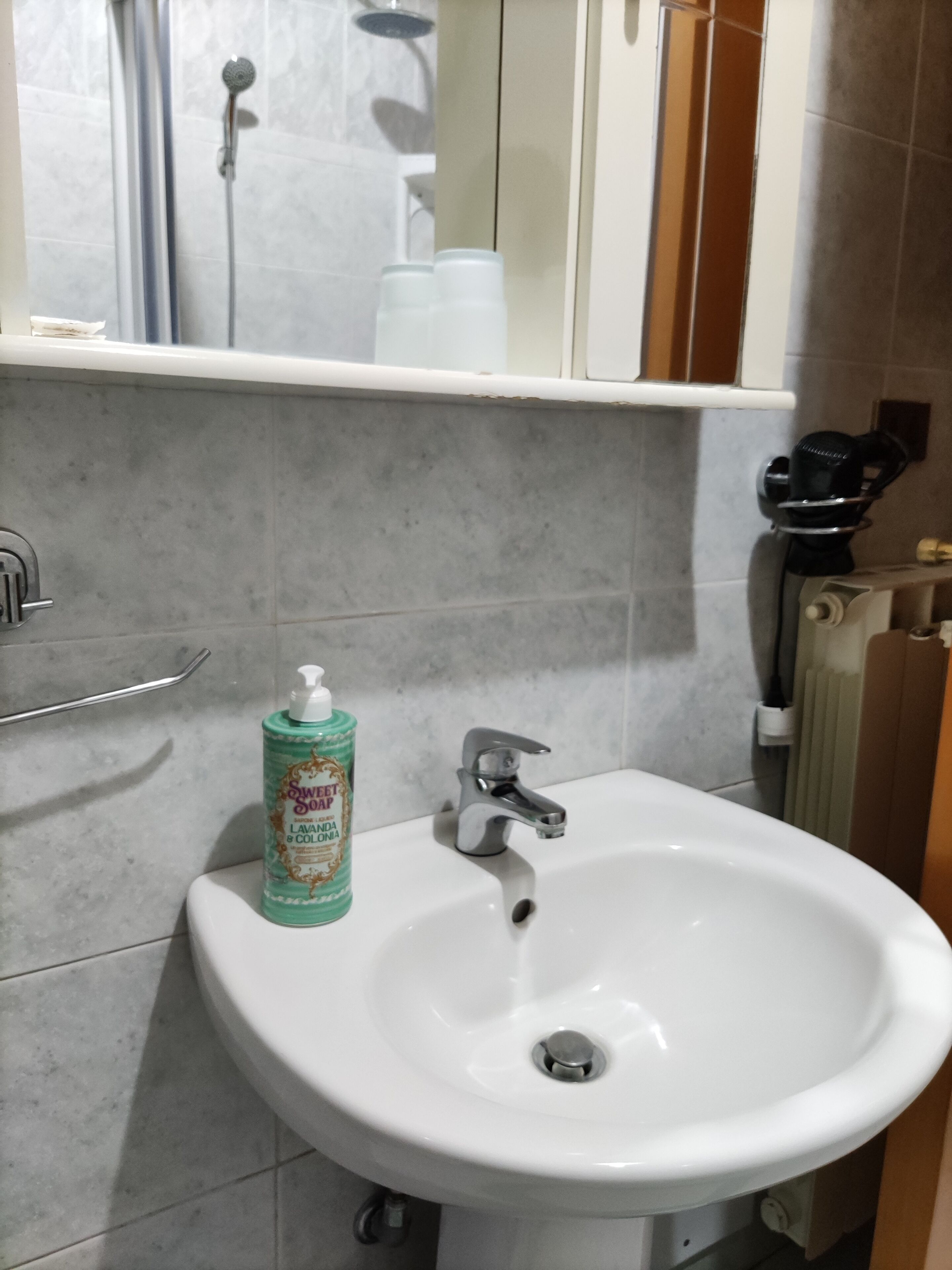 Asciugacapelli, asciugamani, sapone, carta igienica