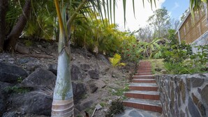Una escalera de piedra asciende por una ladera rocosa, rodeada de abundante vegetación y palmeras.