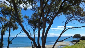 A coastal landscape with trees, a beach, and a clear sky.
