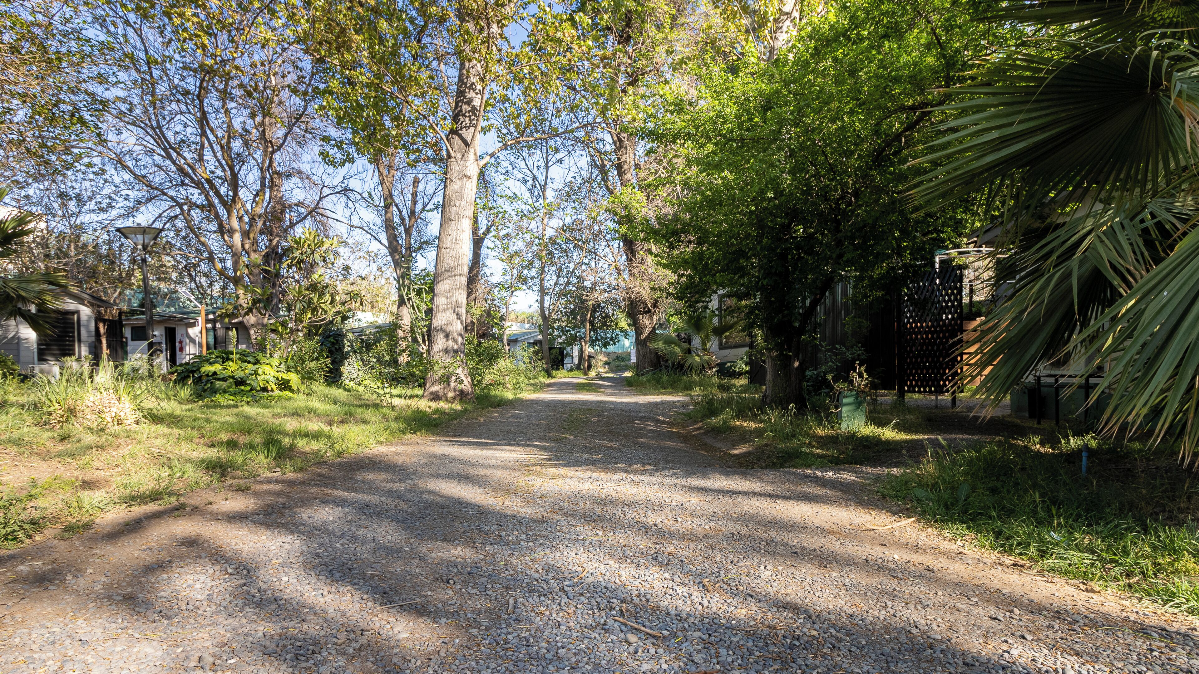 Un camino de grava bordeado de árboles y vegetación, que conduce a una hilera de casas.