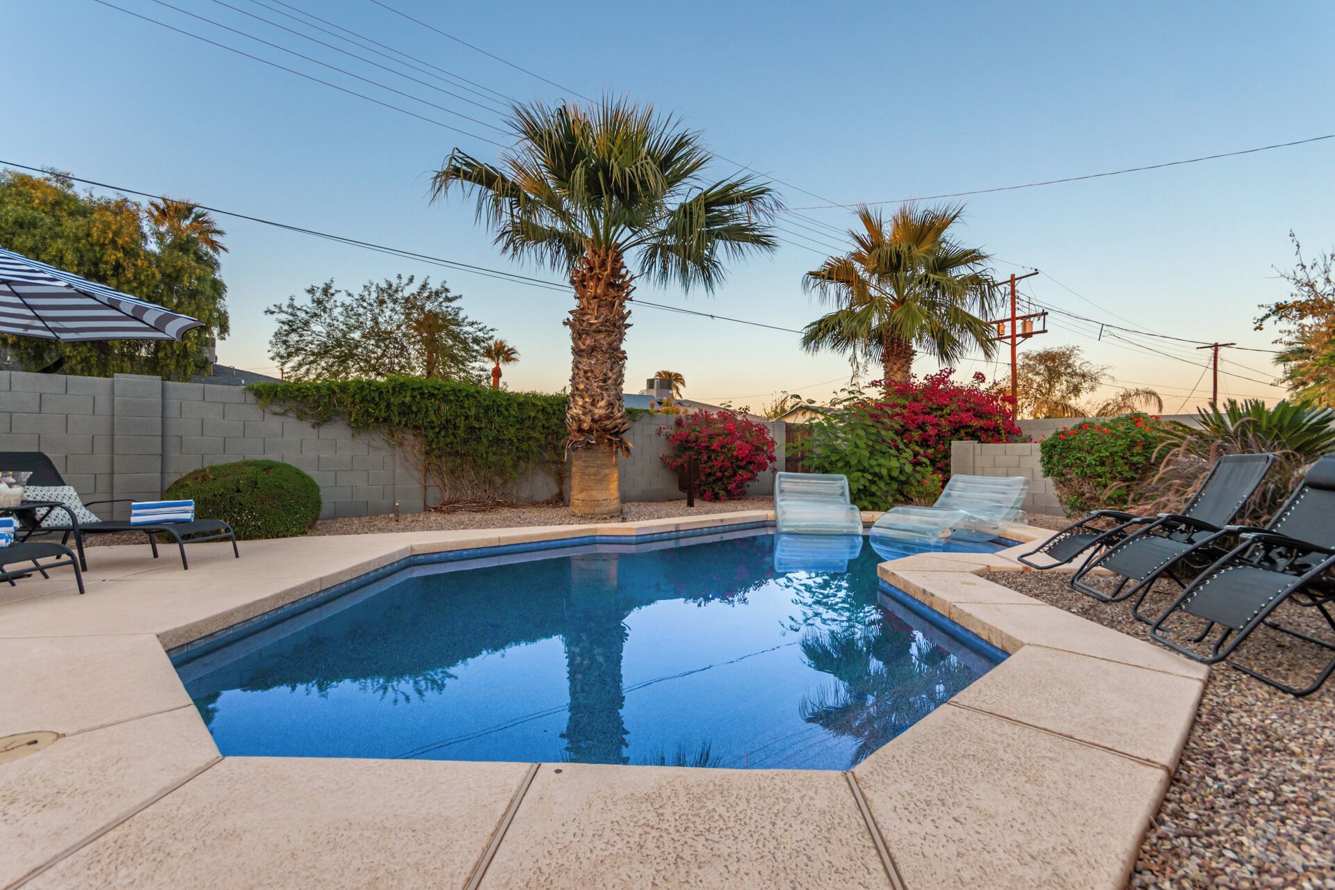 Una piscina rectangular con un borde de baldosas, rodeada de palmeras y un muro de ladrillo.
