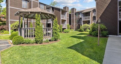 Recently updated condo walking distance to downtown Blowing Rock!