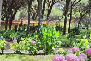 المنطقة المحيطة بالمنشأة