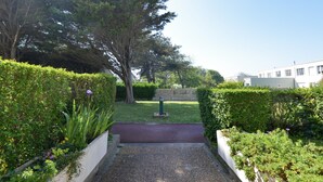 A pathway leading to a building with a hedge on one side and a tree on the other. - Chez Flora - Appartement pour 4 (Saint-Aubin-sur-Mer)