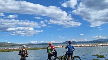 Tres personas en bicicleta junto a un lago, con una bandada de pájaros al fondo.