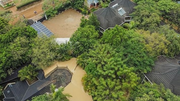 Escritorio, cortinas blackout y wifi gratis