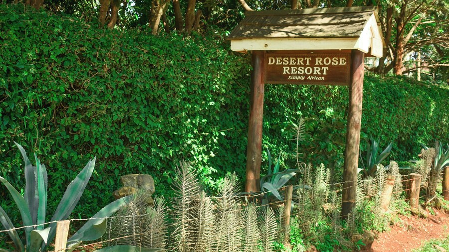 Desert Rose Resort
