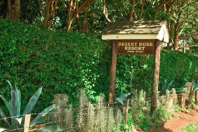 Desert Rose Resort 