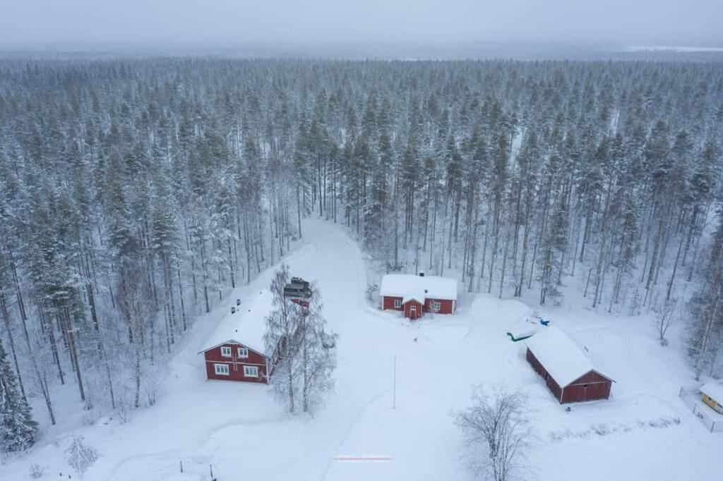 A snow-covered forest with three red cabins.