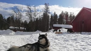 A snowy landscape with a red barn and a dog lying in the snow.