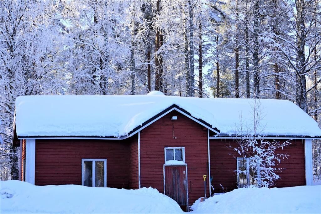 Eksteriør