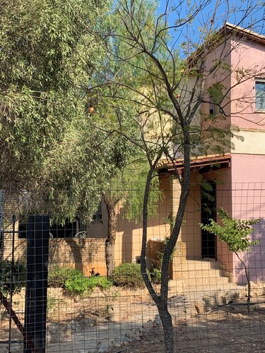A cheerful cottage with a beautiful garden near the sea.