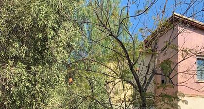 A cheerful cottage with a beautiful garden near the sea.