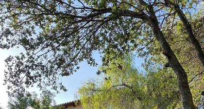 A cheerful cottage with a beautiful garden near the sea.
