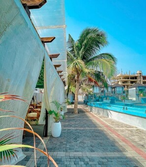 A pool area with a palm tree, potted plants, and a pathway leading to a building.