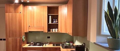 Kühlschrank, Ofen, Herdplatte, Geschirrspüler