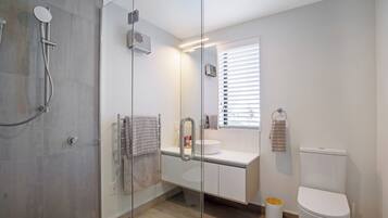 Shower, hair dryer