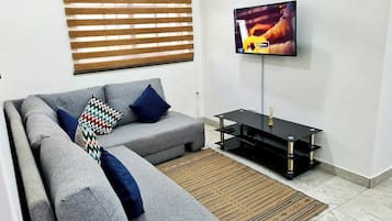 TV de tela plana, Netflix, serviços de streaming