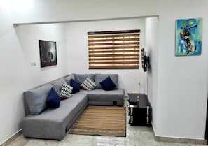 Flat-screen TV, Netflix, streaming services