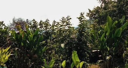 El Cielo Biohospedaje