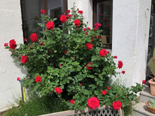 Gemütliche Ferienwohnung Familienfreundlich! Mit 2 Hochstühle + 2 Kinderbetten