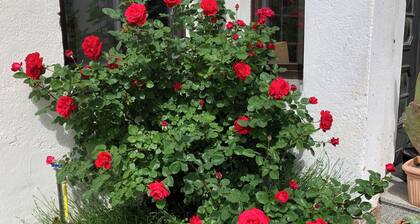 GemĂŒtliche Ferienwohnung Familienfreundlich! Mit 2 HochstĂŒhle + 2 Kinderbetten