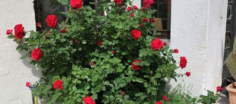 Gemütliche Ferienwohnung Familienfreundlich! Mit 2 Hochstühle + 2 Kinderbetten