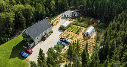 Upper Humber Settlement A FarmStay BNB