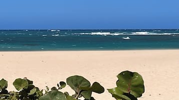 Chaises longues, serviettes de plage