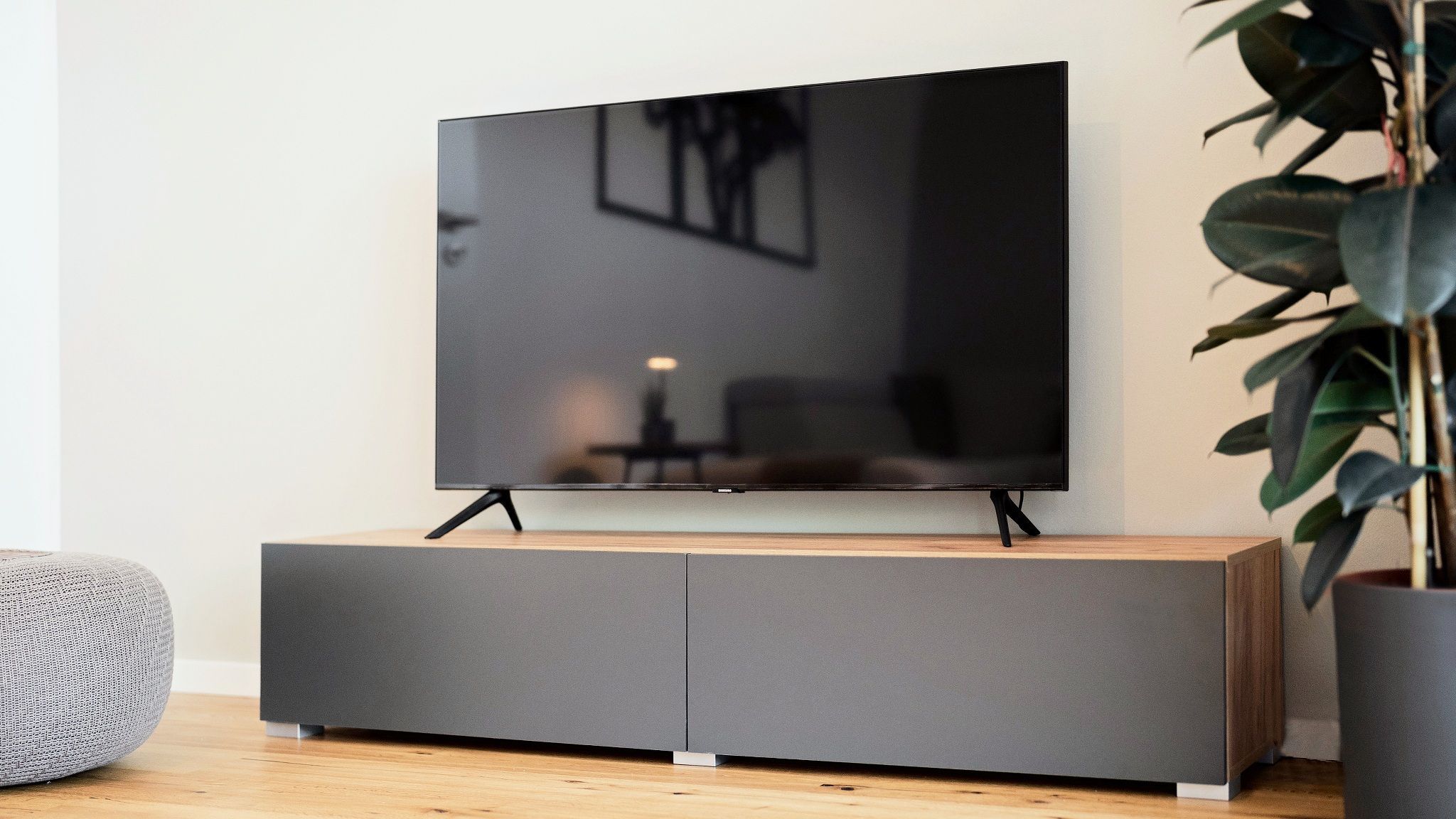 Ein Flachbildfernseher auf einer Holzkabine, daneben eine Pflanze.