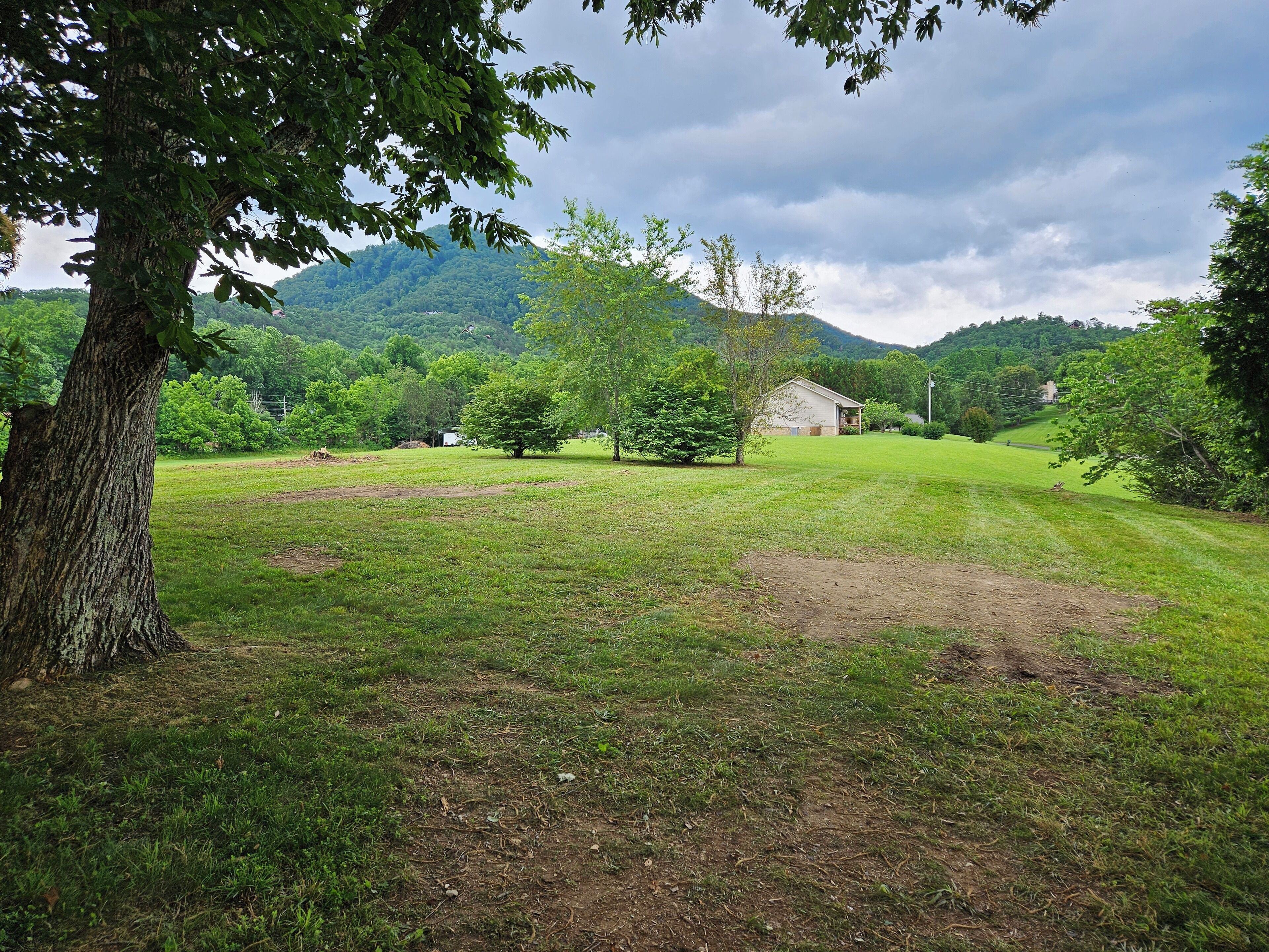 Um campo gramado com uma árvore grande e um prédio pequeno ao longe.