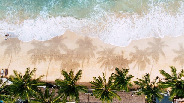 A beach with clear turquoise water, white waves, and palm trees.