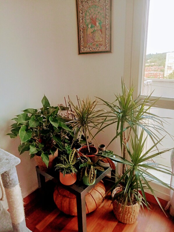 Interior - Limite Paris,loue Appartement Pour LES Jo/jp (Le Pré-Saint-Gervais)