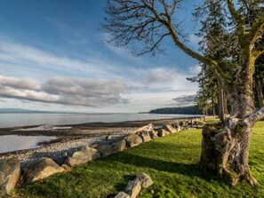 A coastal landscape with a tree-lined path leading to a rocky shoreline. - Qualicum Landing Tranquility- -3bdrm/4 bd/sofa bed (Qualicum Beach)