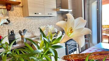 Frigorífic, microones, forn i placa de cuina