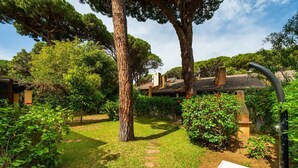 A garden with a paved path, trees, and a building with a tiled roof. - Fiorenza's charming beach house (Pula)