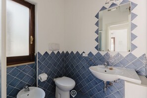 Shower, hair dryer, bidet, towels