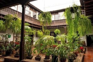 Property grounds - Near the Drago in Icod (Icod de los Vinos)